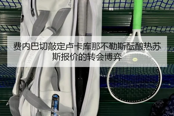 费内巴切敲定卢卡库那不勒斯酝酿热苏斯报价的转会博弈